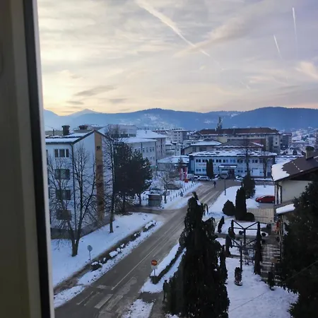 Stan Na Dan Danica Pale